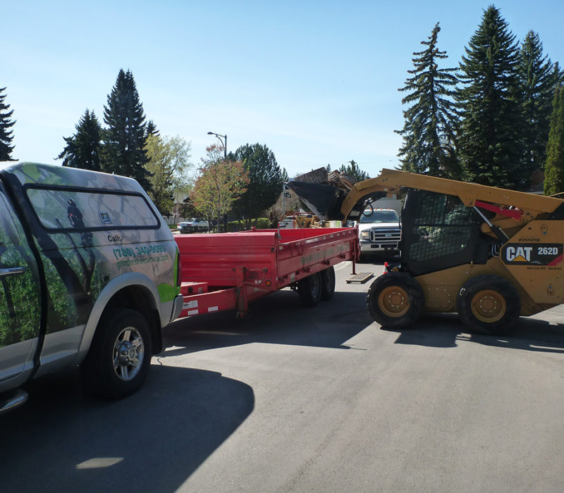 Tree Service Equipment