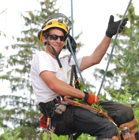 Tree Service Edmonton